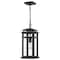 Quoizel Granby Outdoor Hanging Lantern GRB1908EK - alternate 1